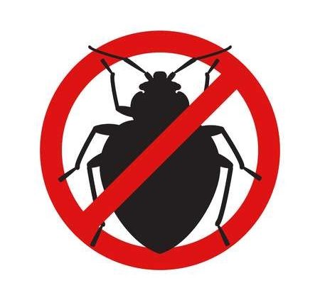 bed-bugs-removal-melbourne